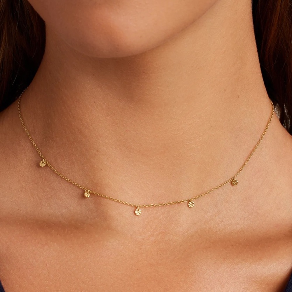 Gorjana 5 disc choker